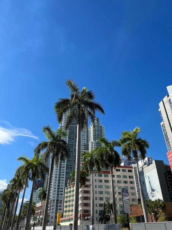 Love It-Here- Downtown Miami Lejlighed Eksteriør billede